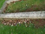 image of grave number 700671